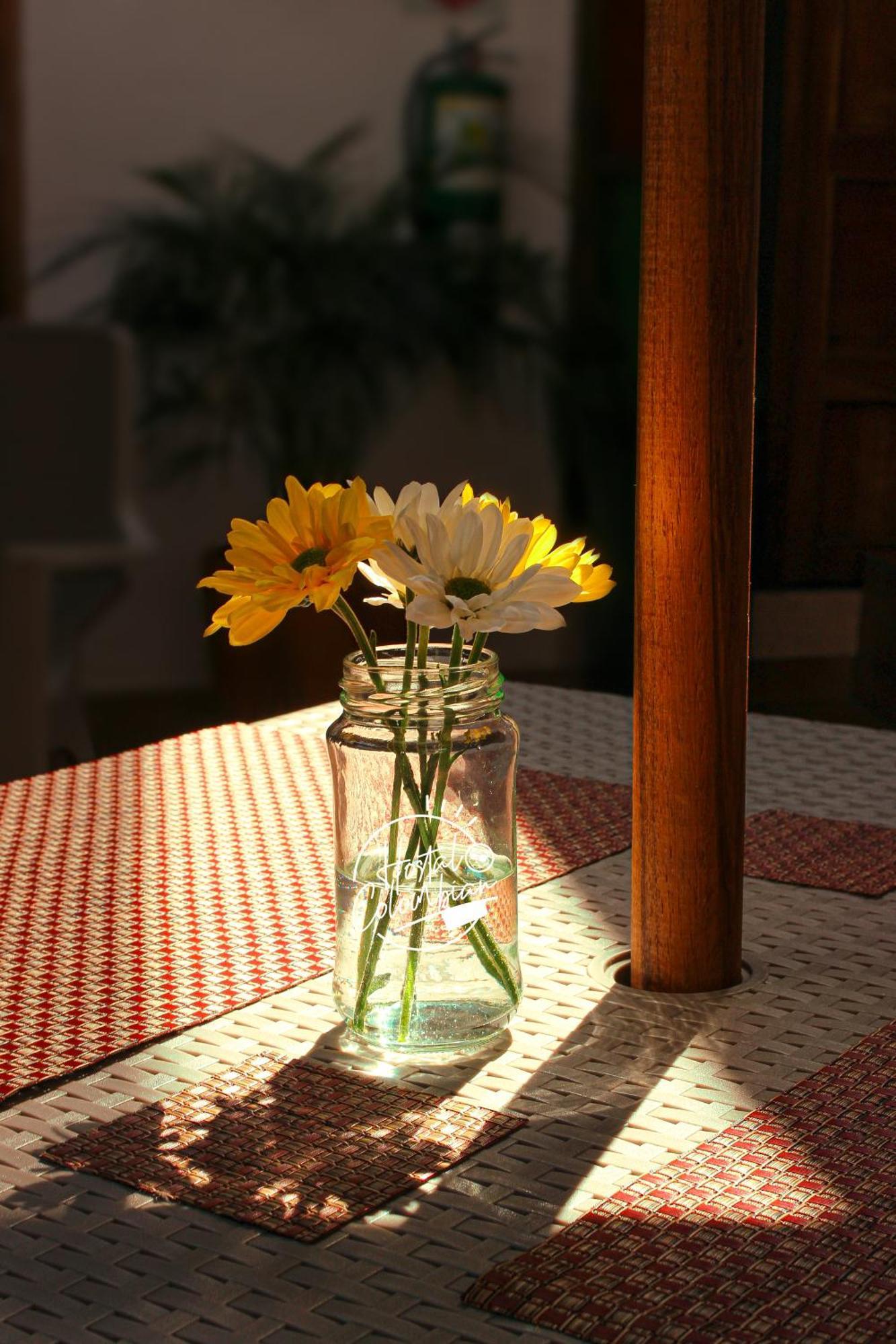 Hostal Colombian Gold San Gil Dış mekan fotoğraf