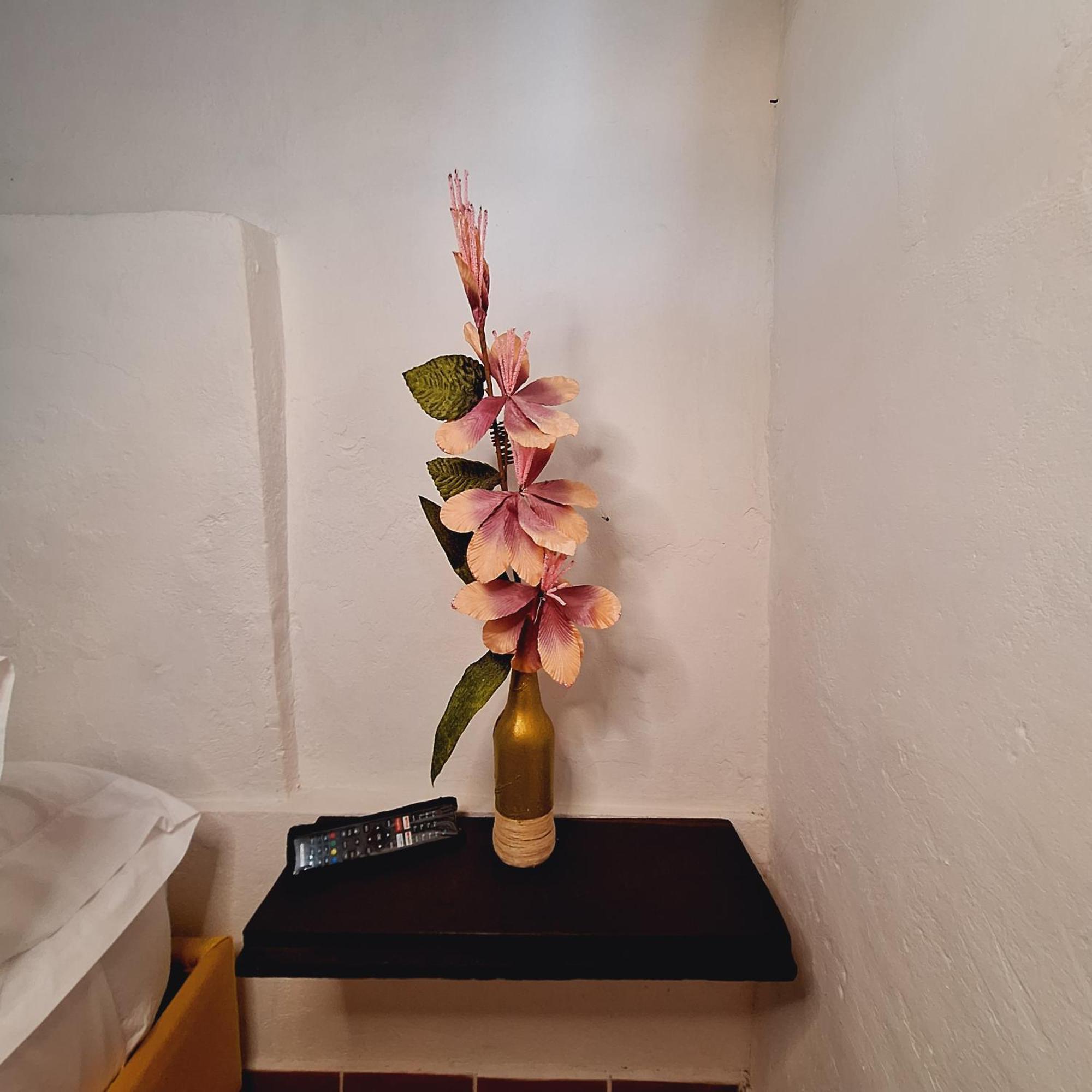 Hostal Colombian Gold San Gil Dış mekan fotoğraf