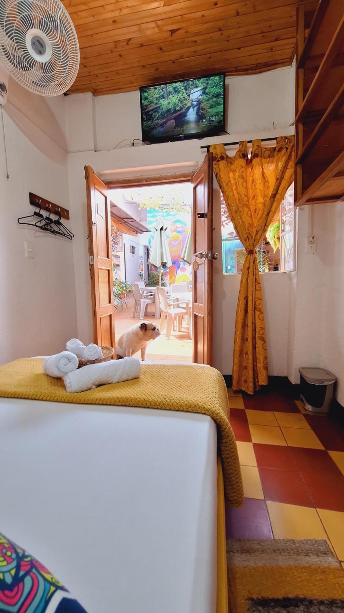 Hostal Colombian Gold San Gil Dış mekan fotoğraf
